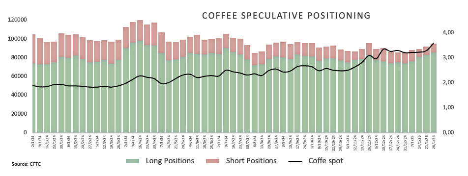 花旗的最新预测:美国将在2025年第四季度对铜产品征收25%的关税